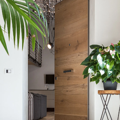 TEKNO-Steel-and-wood-entry-door-OIKOS-VENEZIA-552712-rel57ea58c2.jpg